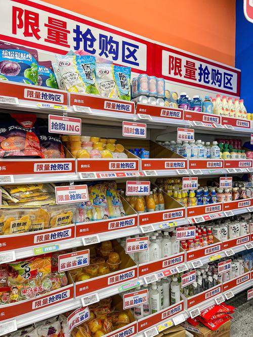 中国全景相机在美国被抢购